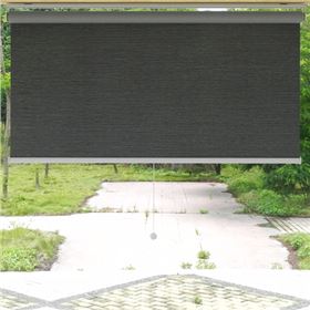 彈簧卷簾窗簾 彈簧卷簾窗簾